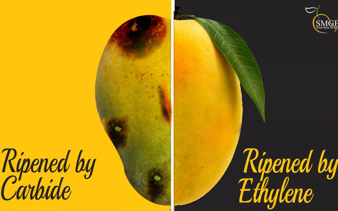 Carbide vs Ethylene ripened mango